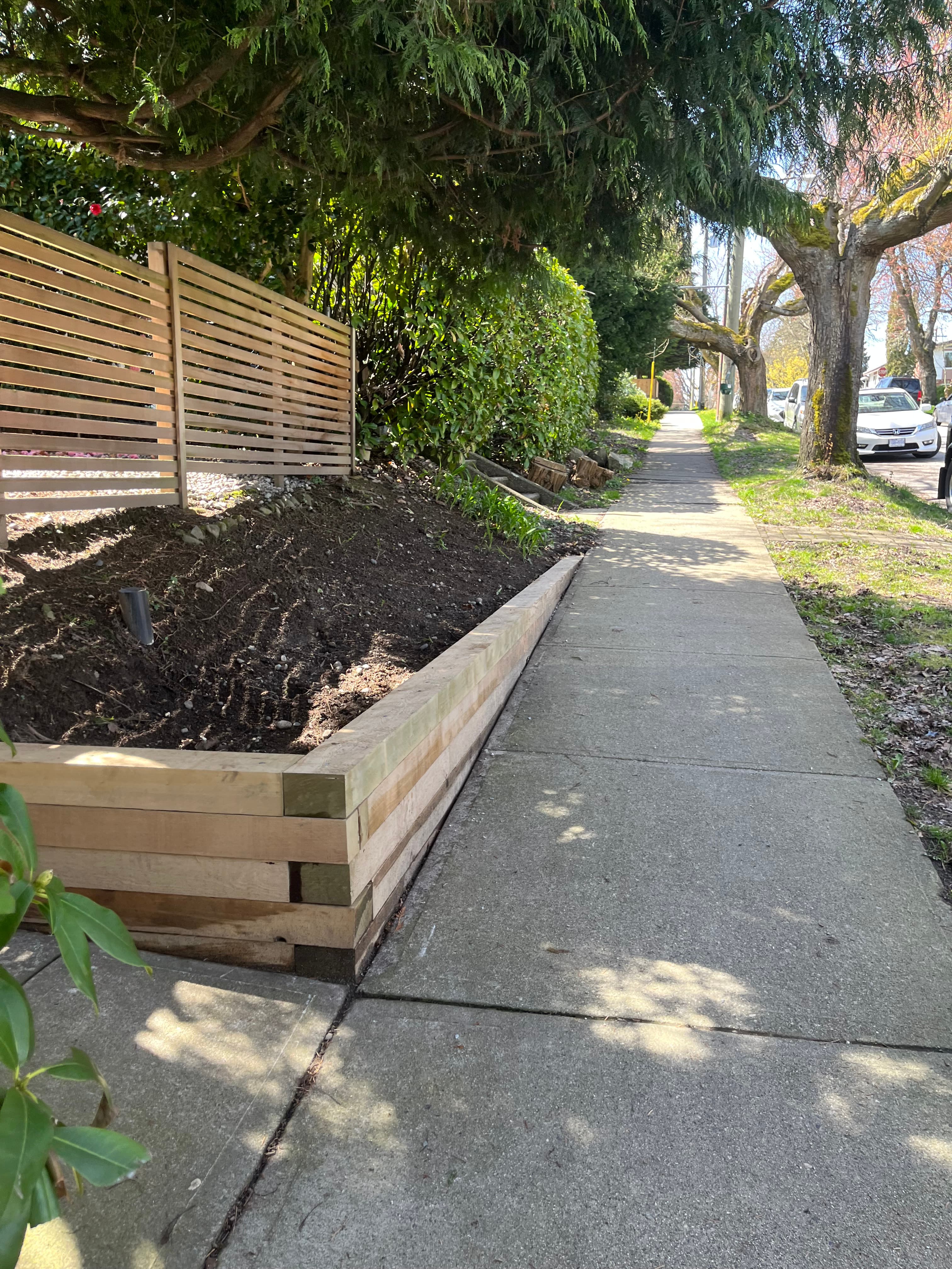 15th Avenue Backyard Renovation — Photo 2